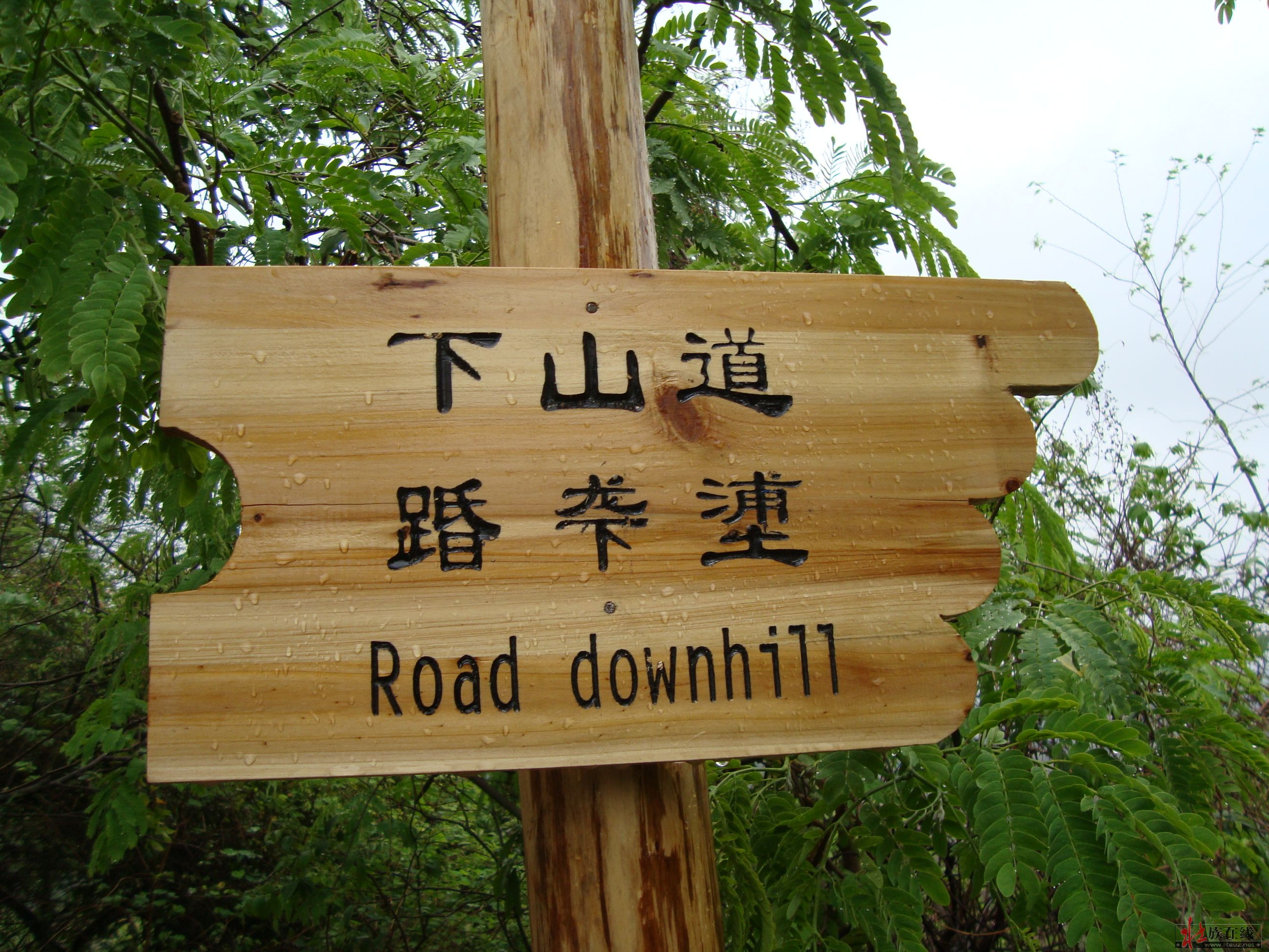 僚人家园 按此在新窗口浏览图片